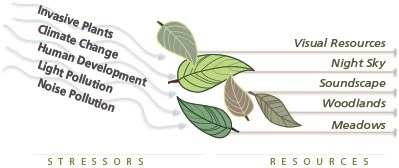 Drivers-->Stressors Resources: 1) Visual Resources, 2) Night Sky, 3) Soundscape, 4) Woodlands, and 5) Meadows. Stressors: Human Development, Light Pollution, Noise Pollution, Invasive Plants, Climate Change.
