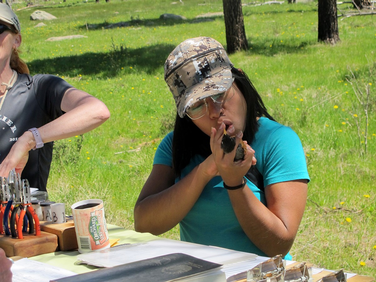 A young woman in an aqua shirt and military fatigue hat holds a bird close to her face. She sits next to another woman at a table with metal instruments.