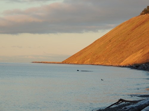 Sunrise on the Bluff