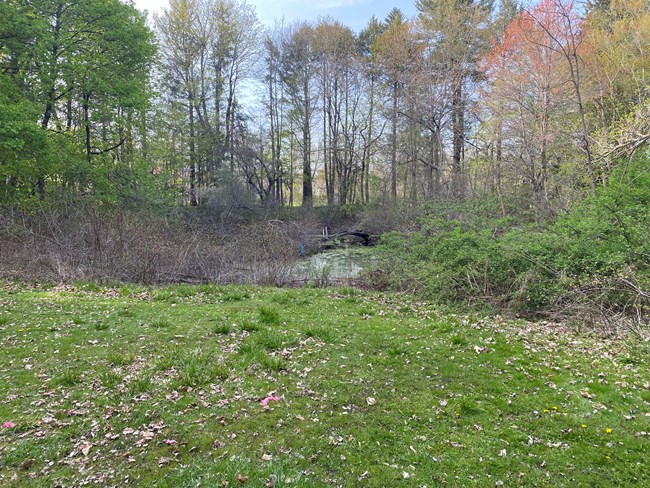 The Olmsted Asian Garden at Elm Bank in May 2022, shortly before preservation work began. The Olmsted Asian Garden at Elm Bank in May 2022, shortly before preservation work began.