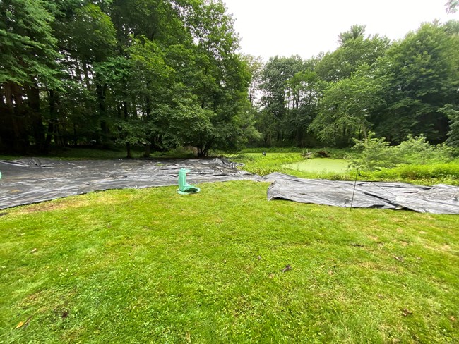 The Olmsted Asian Garden at Elm Bank as it looks in July 2023.