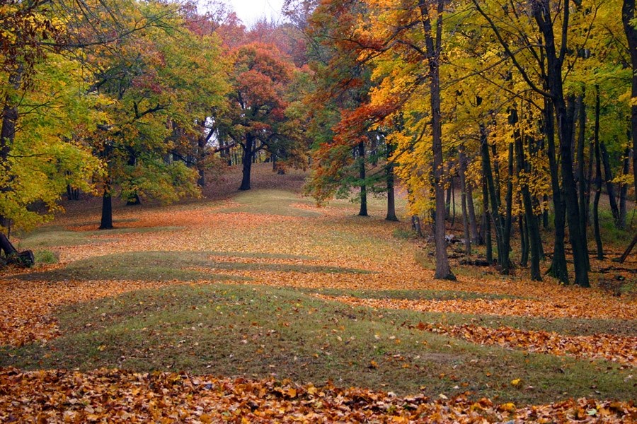 Effigy Mounds National Monument Dirt mounds covered by grass and fallen leaves in an opening in a colorful autumn forest.