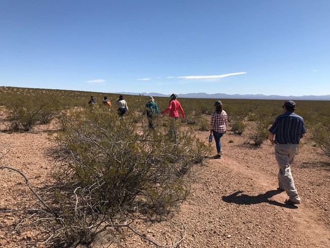 People hike away down a trail in a desert setting with shrub bushes.