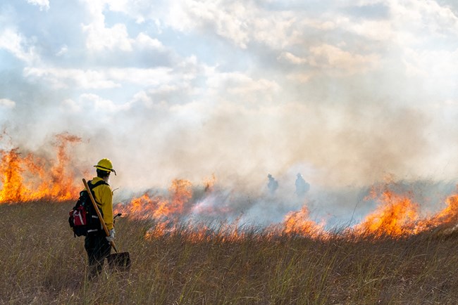 A firefighter holds the line. A firefighter holds a shovel near a line of flames.
