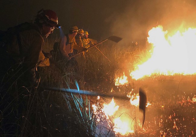 Firefighters holding suppression handtools near flames at night.