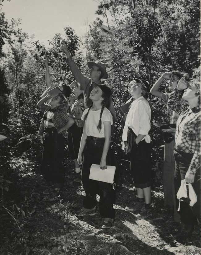 Girl Scout Troop 5 at Everglades National Park A group of nine girls and a park ranger stand on a trail among trees. Everyone looks up to where the ranger is pointing to something out of shot.