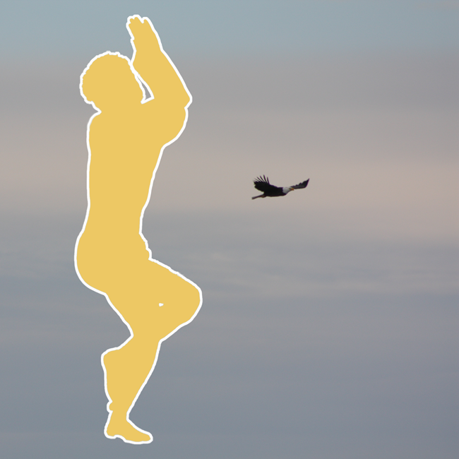 A man in eagle pose with a blue sky and eagle in the background.