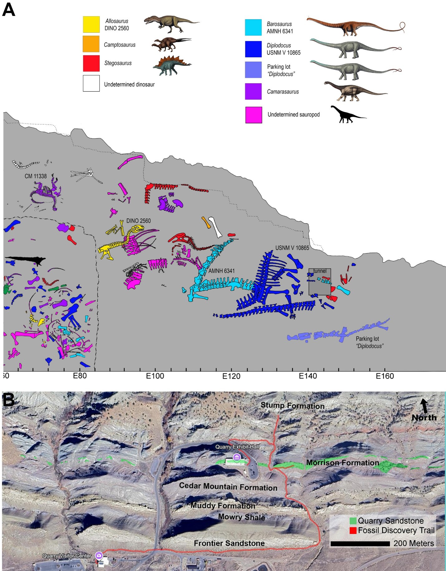 Two images arranged vertically. Upper shows gray quarry map with dinosaur skeletons, denoted by different colors as indicated by key above map. Lower is satellite photo of an area with series of east-west ridges, annotated with formation names and trails.