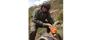 Person in green NPS helmet and uniform, with a blindfolded bighorn sheep.