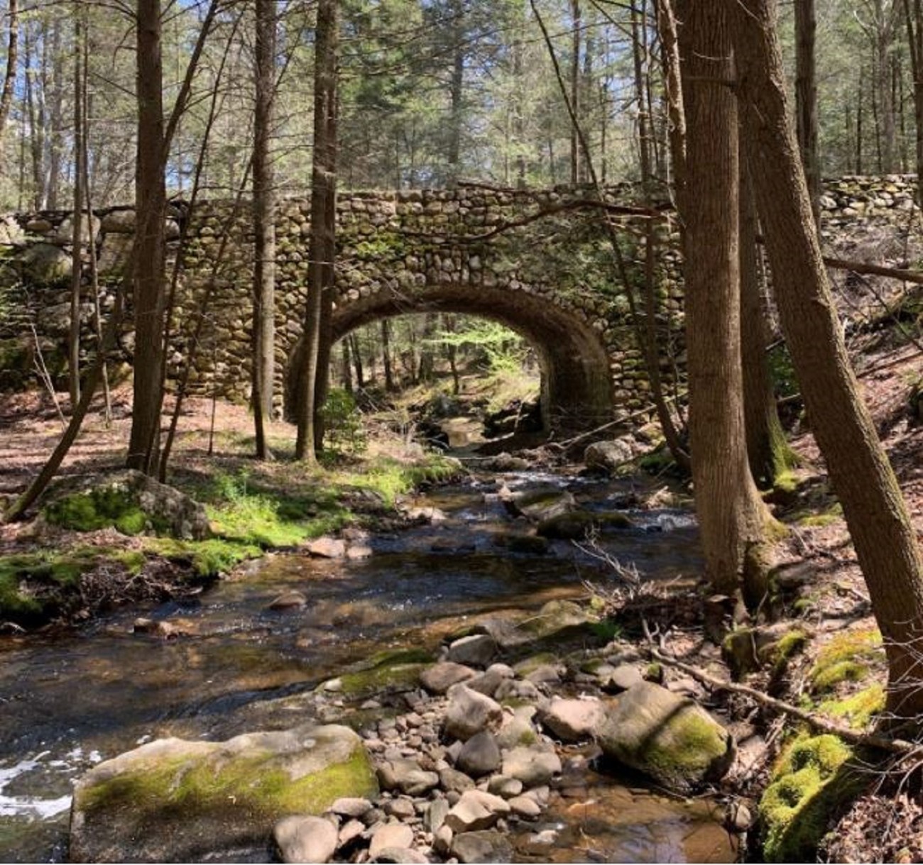 “People who have heard of Devil’s Hopyard State Park, may not have heard of the many preserves that our towns also have to offer. Do they know that over 50% of Lyme has been designated open space? Do they know about our lakes and camping opportunities? Th