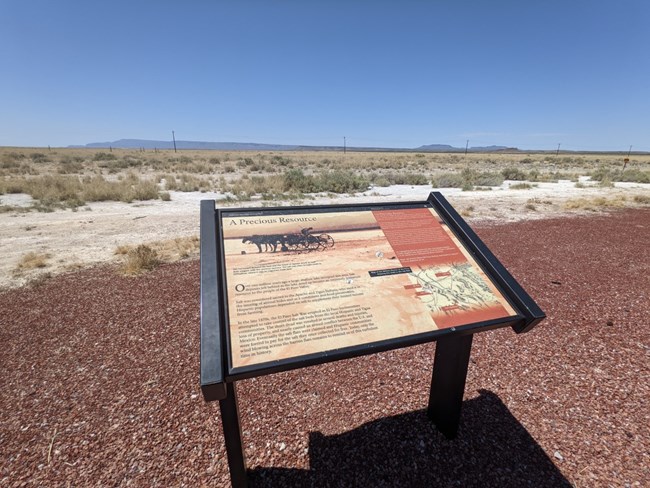 Upright exhibit in the desert ecosystem.