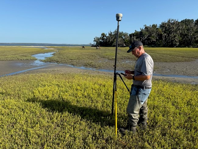 Man standing in a marsh with survey equipment