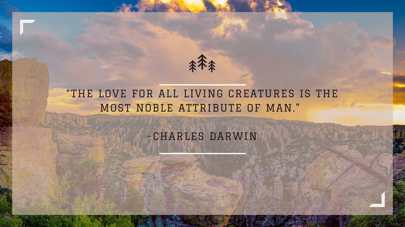 Elise Favorite Quote a photo of Chiricahua with text reading “The love for all living creatures is the most noble attribute of man.” -Charles Darwin