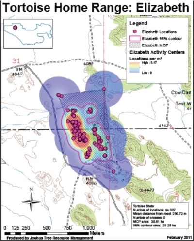 Elizabeth home range A map of tortoise locations