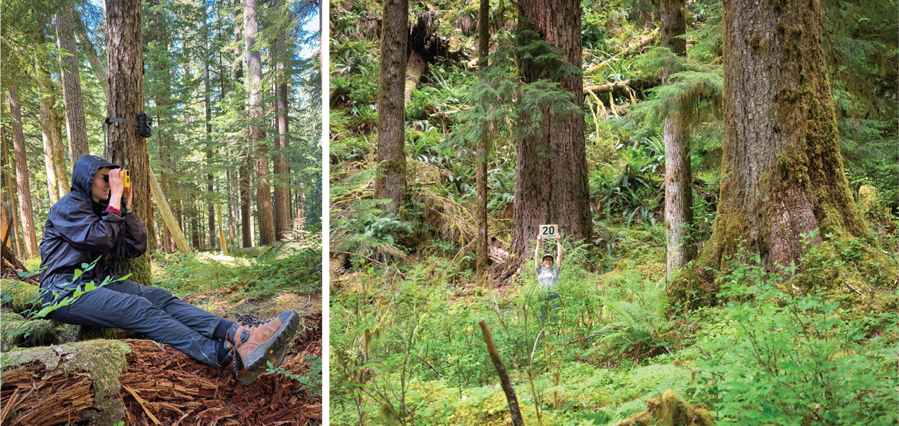 Two images. Left, a person in a black rain jacket looks through a yellow instrument; a game camera is strapped to tree behind them. Right, a person in a forest clearing with a grey t-shirt and NPS ballcap holds up a sign reading 20 meters.