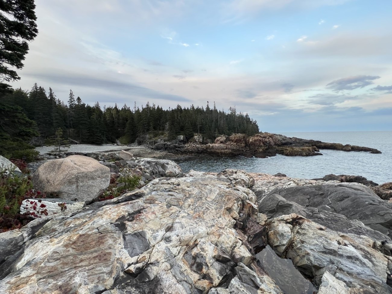 Little Hunters Beach a rocky cove surrounded by evergreen trees