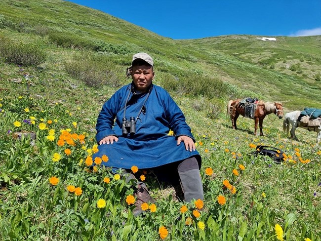 Enkhbayar Dambadarjaa man sitting on a green grass field with yellow flowers surrounding him and two horses behind him