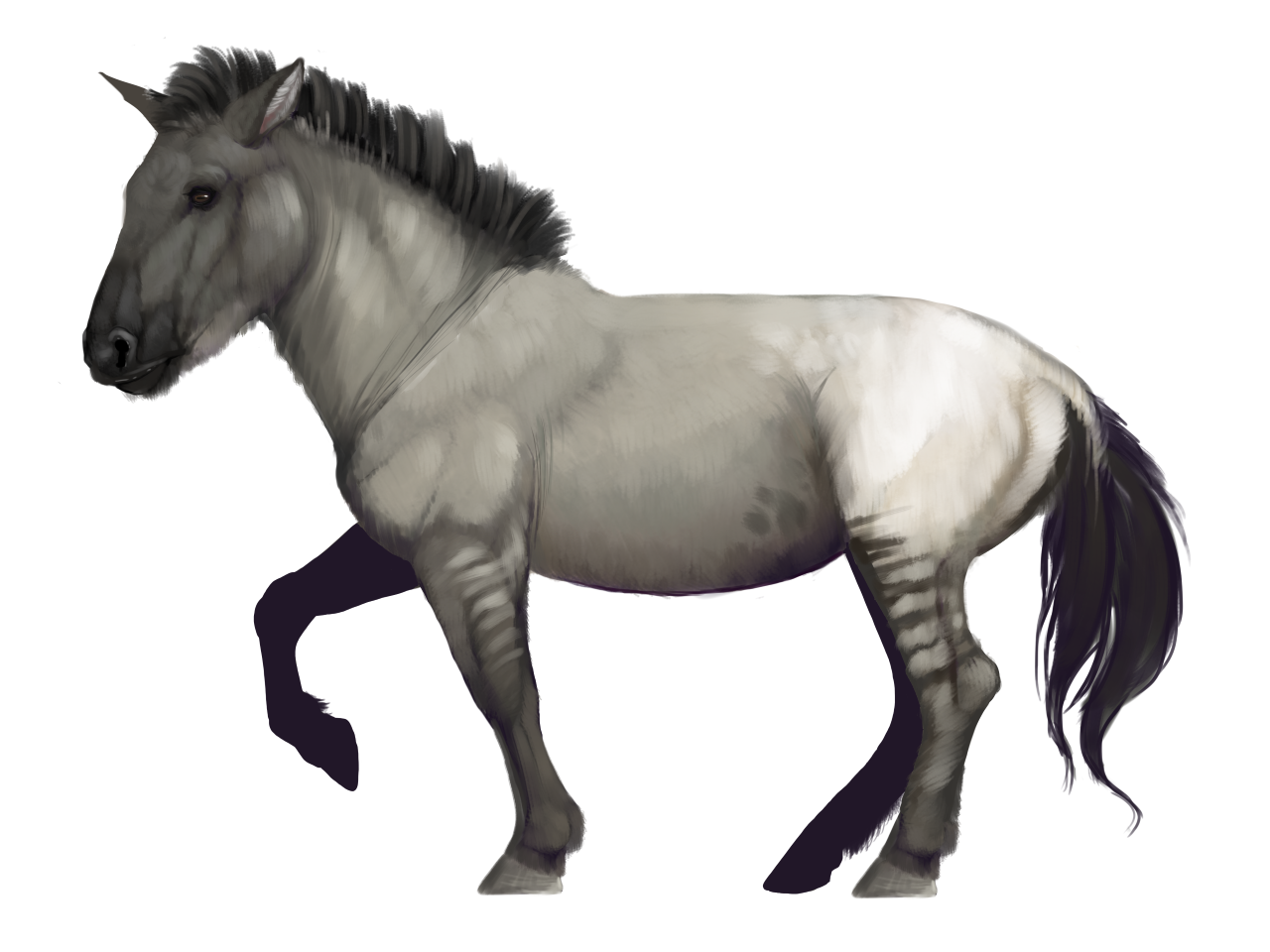 illustraton of an ancient horse