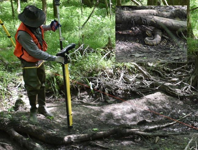 Wadeable stream habitat survey at CONG Man with in a stream bed with snake under a log