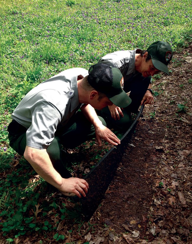 Two men in National Park Service uniforms look under a black cover board.