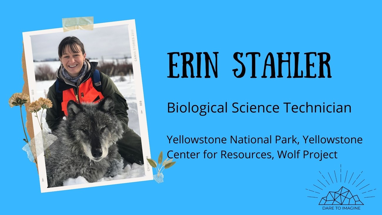 ErinBio Graphic2 graphic of women in the snow. Text reads Erin Stahler Biological Technician Yellowstone