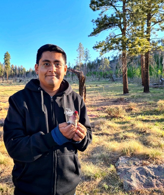 A young man in a dark hoodie holds a bird with a striking red head. Behind him is a green field surrounded by trees