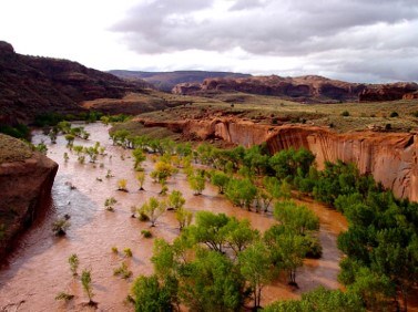 River brown with slit on an orange rocky landscape