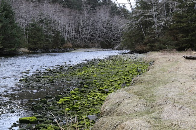 The Indian River, a traditional Tlingit harvesting area for salmon.