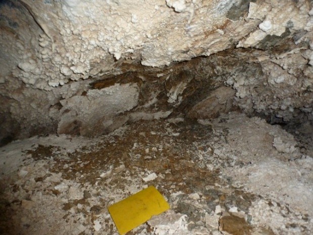 Exposed shale in gypsum annex Shale exposed in a short side passage of the Gypsum Annex