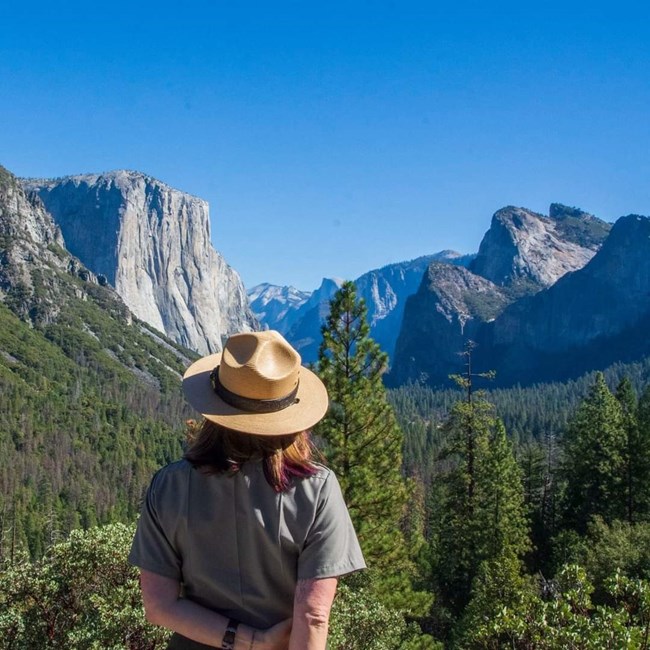 A park ranger wearing a flat hat looks towards a deep valley surrounded by steep cliffs and forest.