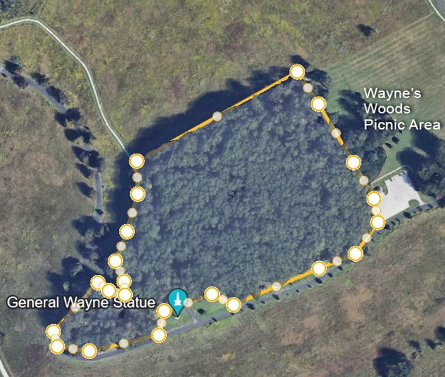 A satellite image with a yellow outline around a forested plot of land. General Wayne Statue and Wayne's Woods Picnic Area are marked with text.