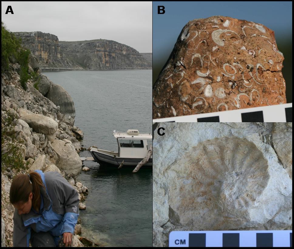 photo of fossil site an a lakeshore and two photos of fossil shells