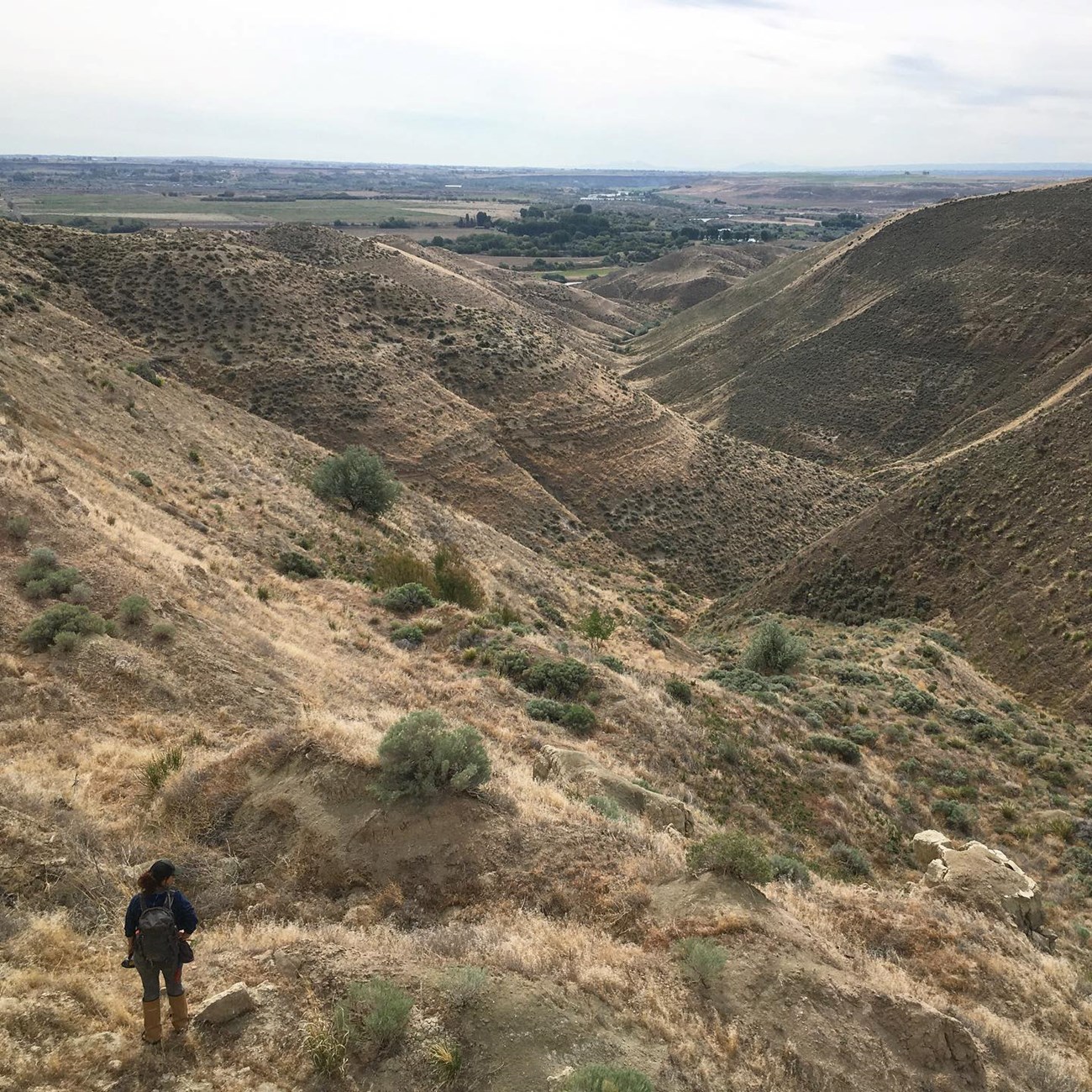 photo of a person standing at the top of a gully