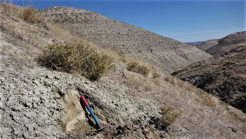 photo of a fossil site with a rock hammer on the ground for sccale