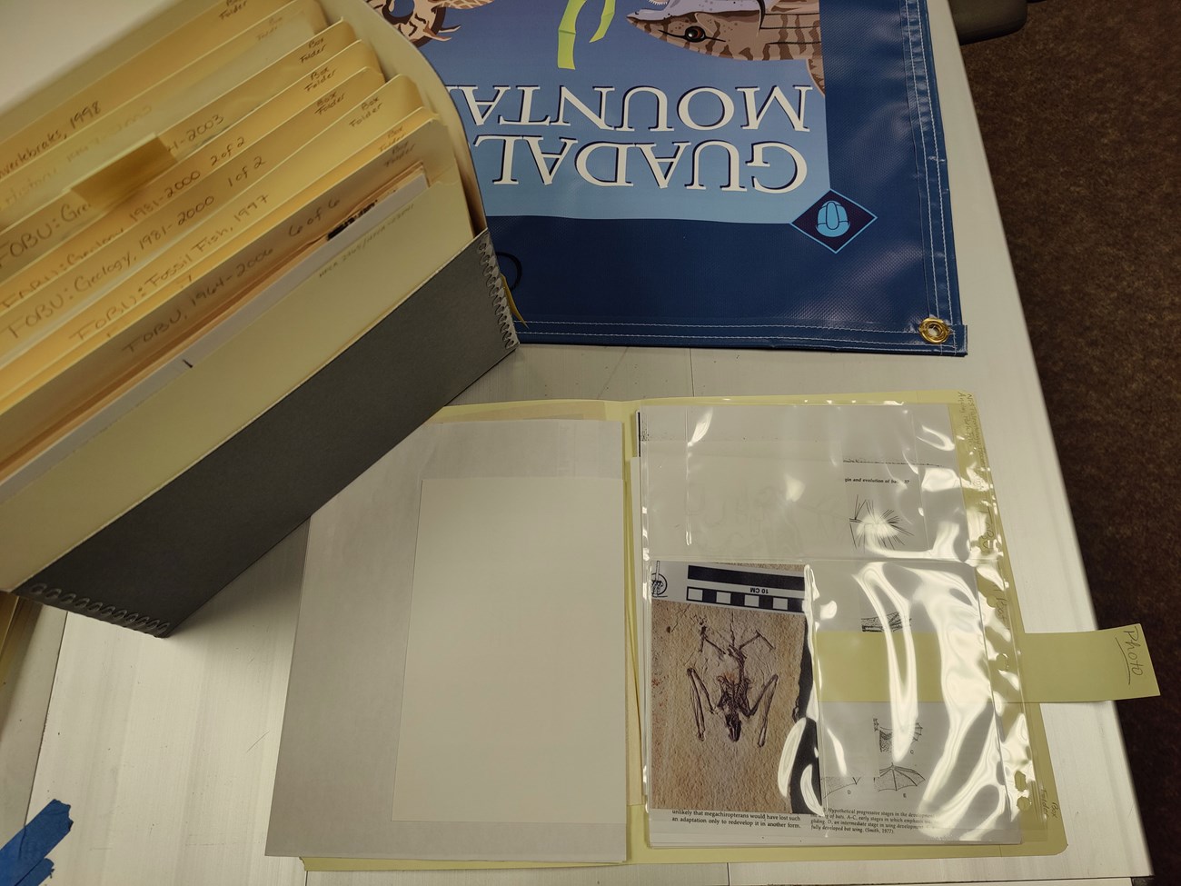 Photo of paper records on a table.