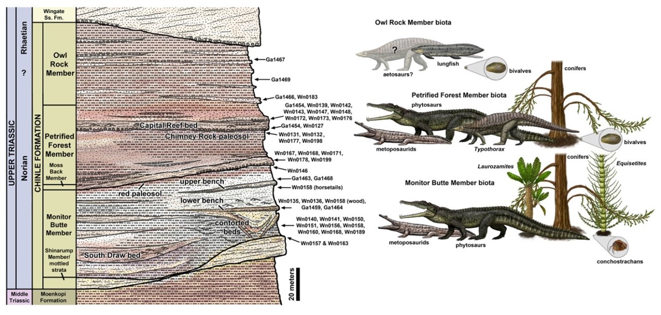 illustration showing a stratographic rock column and drawings of several prehistoric animals and trees