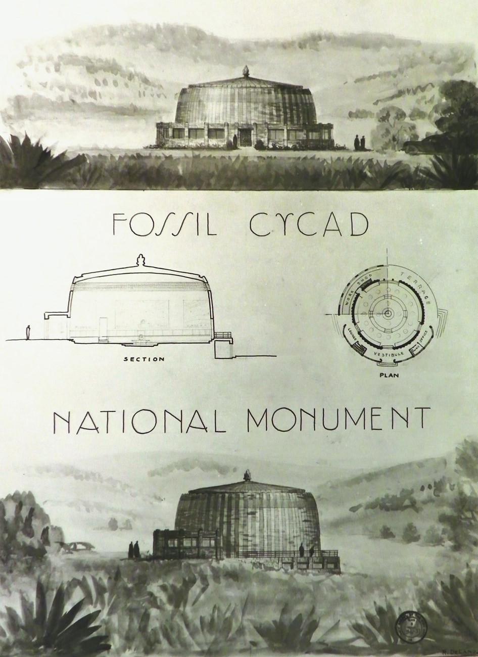 Drawings of a visitor center designed for Fossil Cycad National Monument