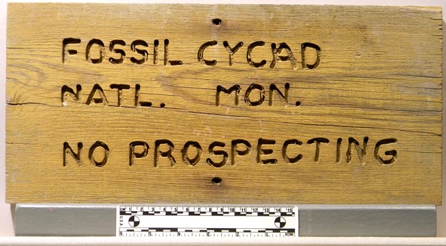 Photo of a wooden sign with the words, Fossil Cycad Natl. Mon. No Prospecting