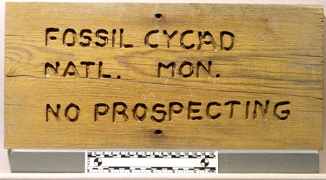 FIGURE 6 - FOCY Photo of a wooden sign with the words, Fossil Cycad Natl. Mon. No Prospecting