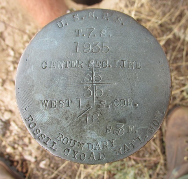 Photo of a metal survey monument.