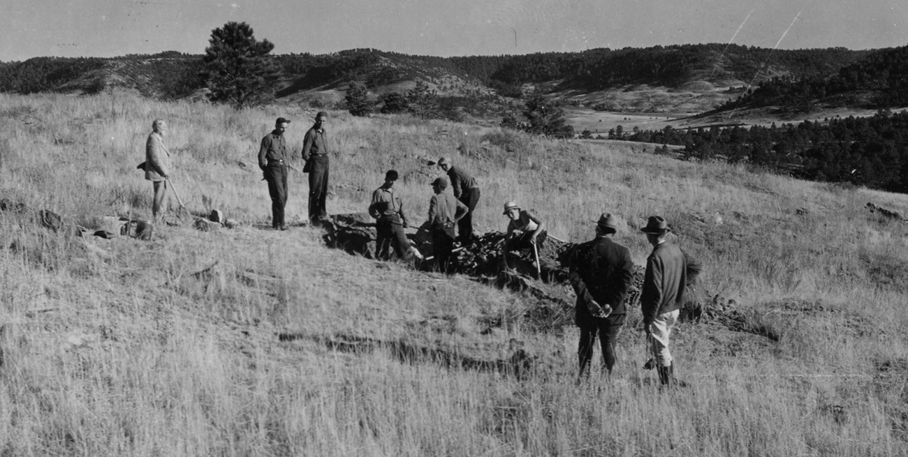 Black and white photo of a group of people digging a trench on a grassy hillslope.