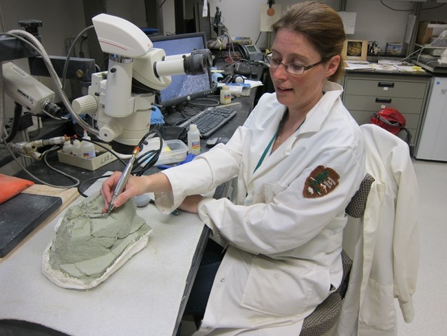 FIG. 2 - CAVIN a person in a lab coat working on a fossil