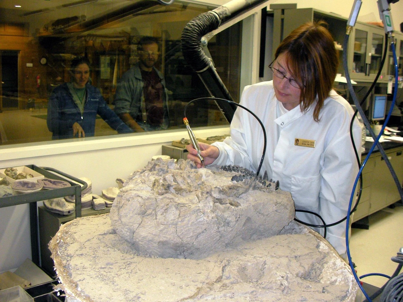 FIG. 4 - CAVIN a person in a lab coat working on a fossil