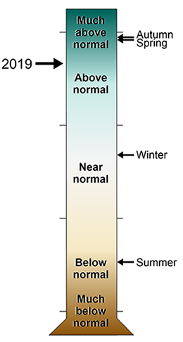 FIIS graduated cylinder