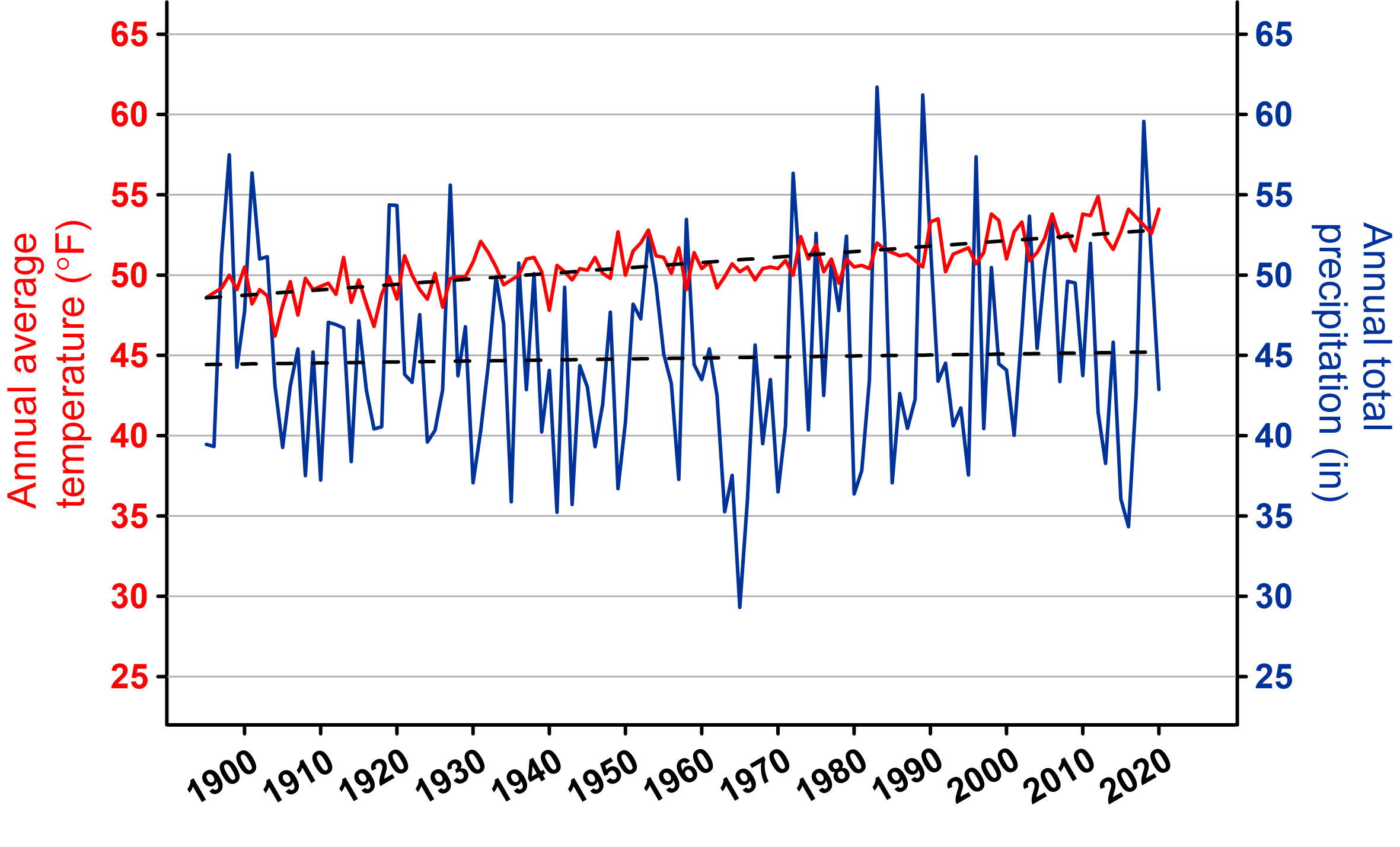 line graph on precipitation and temperature trends for FIIS in 2020