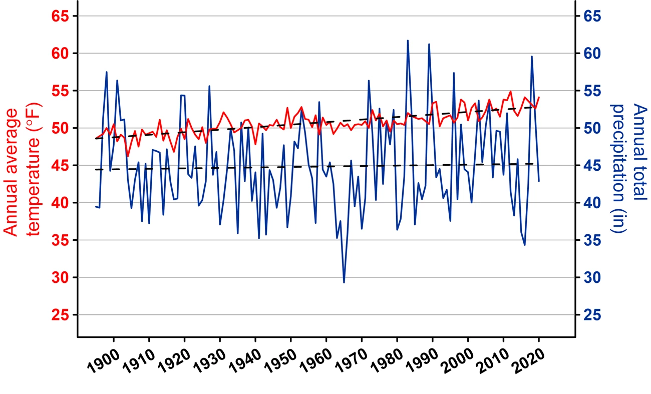 line graph on precipitation and temperature trends for FIIS in 2020