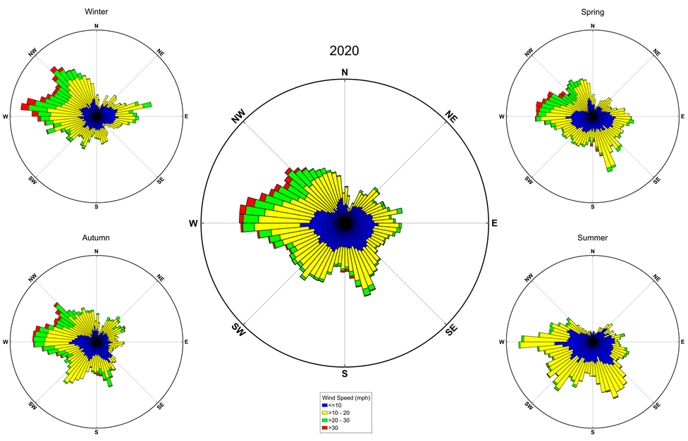 wind roses for the year and the 4 seasons showing wind speed and direction at FIIS in 2020