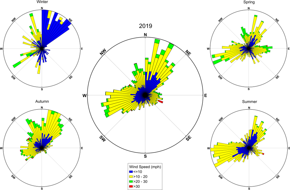 wind roses for each season at FIIS