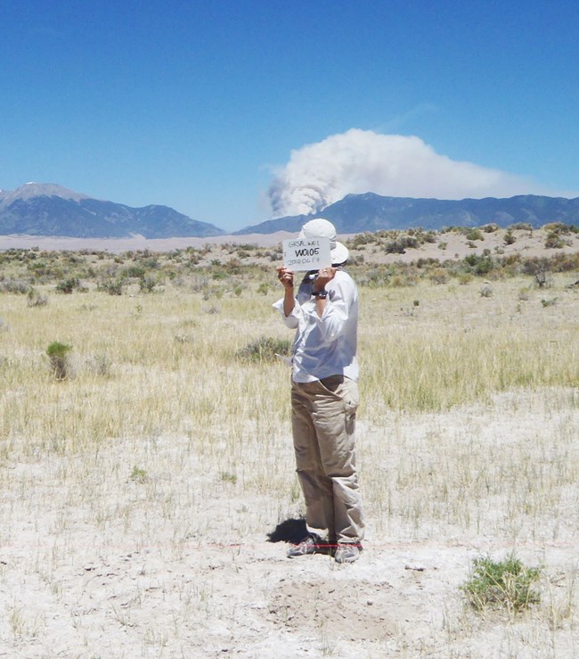Technician stands in a dry meadow holding a plot identifier sign and watching a large plume of smoke in the mountains behind.