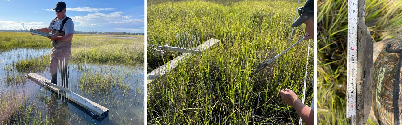 man on a platform in a marsh, putting measuring rod in marsh, measuring the rod